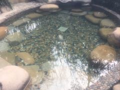 -天目湖涵田半山温泉