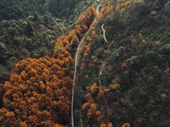 -山王坪喀斯特国家生态公园
