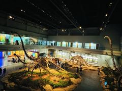 -自贡恐龙博物馆