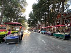 -布尔津河堤夜市