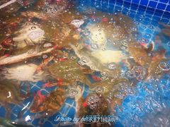 -乔哥铭洋海鲜自助(皇城恒隆广场店)