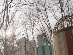 -和平公园