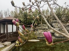 -静之湖度假区