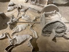 -洛阳周王城天子驾六博物馆