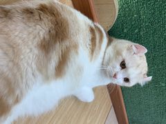 -猫和宫(六道口店)