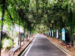 -武汉紫薇都市田园