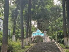-莫干山风景区