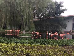 -石家庄市动物园