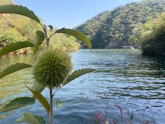 -何适山庄 ·可团建(水长城P2停车场店)