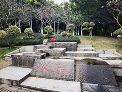 -火炉山森林公园