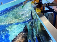 -太平洋海底世界