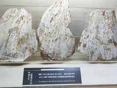 -上海邮政博物馆