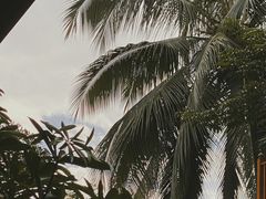 -库玛丽尼泊尔风味餐吧