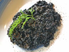 -小火花·干式熟成牛排馆Spark SteakHouse(剑桥郡店)