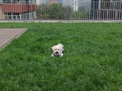 -百好乐宠物友好餐厅(朝外大街店)