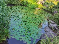 -龙头寺公园