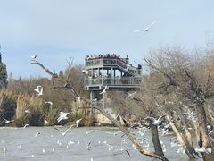 -捞渔河湿地公园