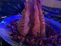 -网红丛林音乐烤吧