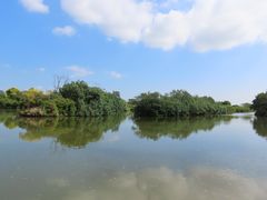 -大湾区中央湿地公园