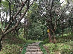 -四明山国家森林公园