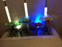 室内一角-恒宝和宴(合生广场店)