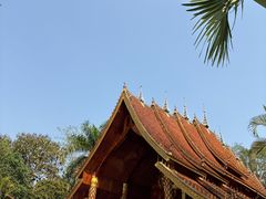 -西双版纳傣族园