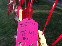 -东方绿舟景区