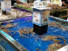 水产区-盒马鲜生(红莲店)