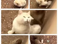 -昆明动物园