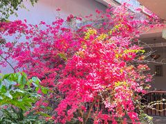 -河源御临门度假村温泉