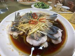 -煲来饱去冷水鱼