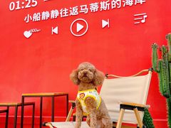 -凯德广场(学府店)