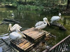 -济南野生动物世界