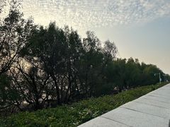 -宝安西湾红树林湿地公园