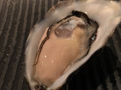 -Oyster Talks 四度蚝法餐厅
