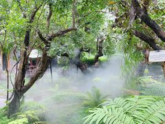 -Chom Cafe and Restaurant