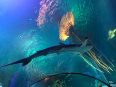 -沈阳海洋探索中心