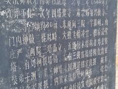 -曲江薰衣草庄园