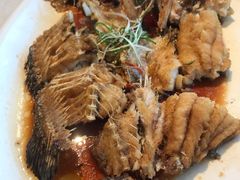 油浸宝石斑鱼-衡山汇·高级粤菜(霄云路店)