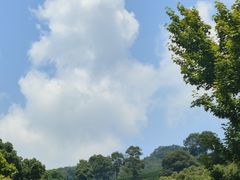-春娟茶楼·地道农家菜(梅家坞店)