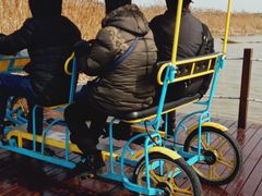 -盐城丹顶鹤湿地生态旅游区