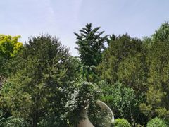 -鱼酷活鱼烤鱼(恒隆广场店)