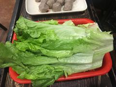 -东山羊庄(八卦岭店)