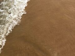 -日照海滨国家森林公园