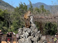 -福州动物园