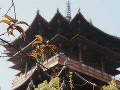 -杭州半山国家森林公园