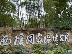 -西溪国家湿地公园