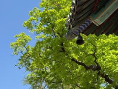 -潭柘寺景区