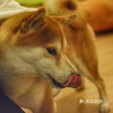 盐 Tips:鸡蛋加点牛奶可以更嫩