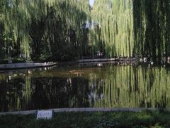 -玲珑塔公园